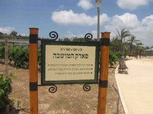 שילוט פארק המושבה בזכרון יעקב