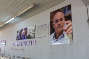 עיצוב קירות